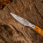 Custom Handcrafted Damascus Steel EDC Folding Knife | 3-Inch Blade, Olive Wood Grip, Leather Sheath | Perfect Gift - Korvel