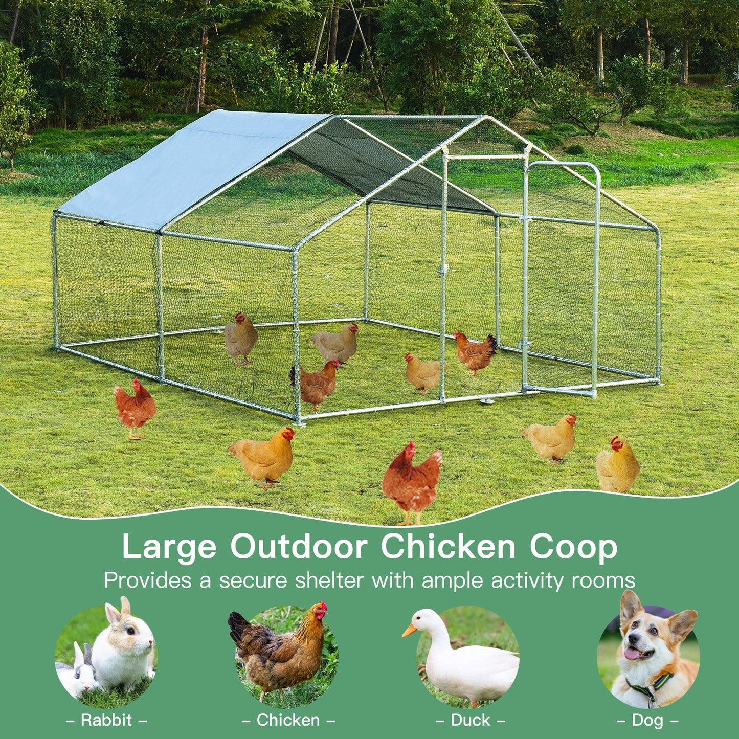 Large Walk-In Shade Cage Chicken Coop with Roof Cover - 13'