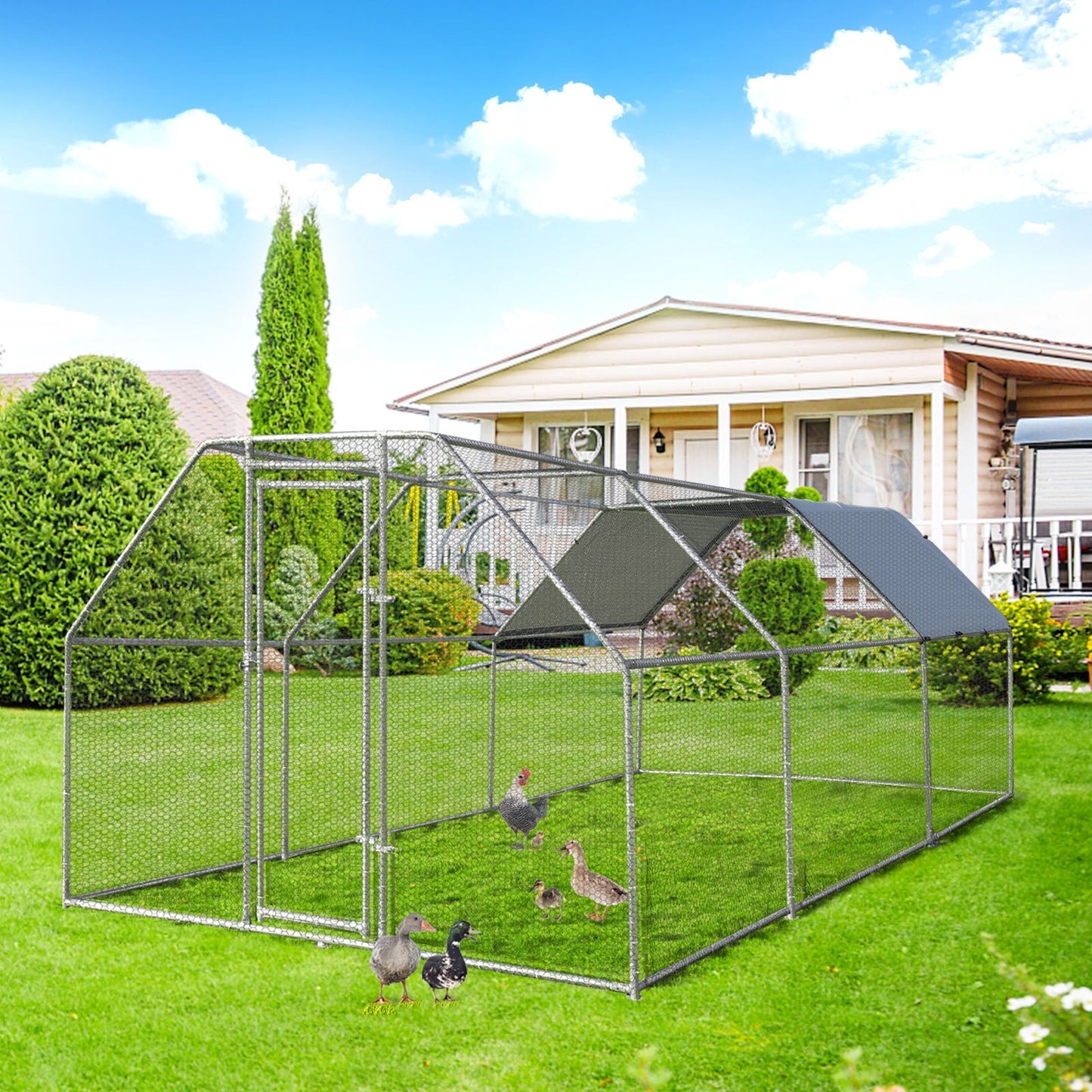 Gallinero grande de 9.5 x 19 pies con acceso