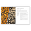 Danny's Colorful Pasta Creations (Spiral Bound) - Korvel
