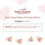 Andy Anand Gourmet Ruby Chocolate Hearts Truffles 18 Pc