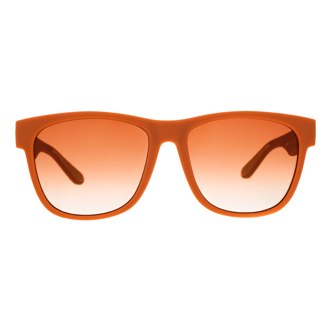Global Vision: Mayor Of Pangaea BFG Polarized Sunglasses - Korvel