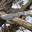 Exquisite Damascus Steel Tom Brown Tracker Knife - 12" with Colorful Bone Handle - Korvel