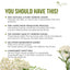 Hojas de Té de Yarrow Premium | Suelto Aromático