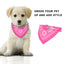 GBruno Bandana Ajustable para Mascotas