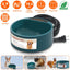Cuenco de Agua Calentado GBruno para Perros y Gatos