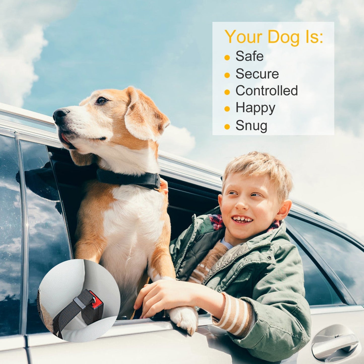 Ceinture de sécurité pour chien GBruno sans les mains - Pack de 2