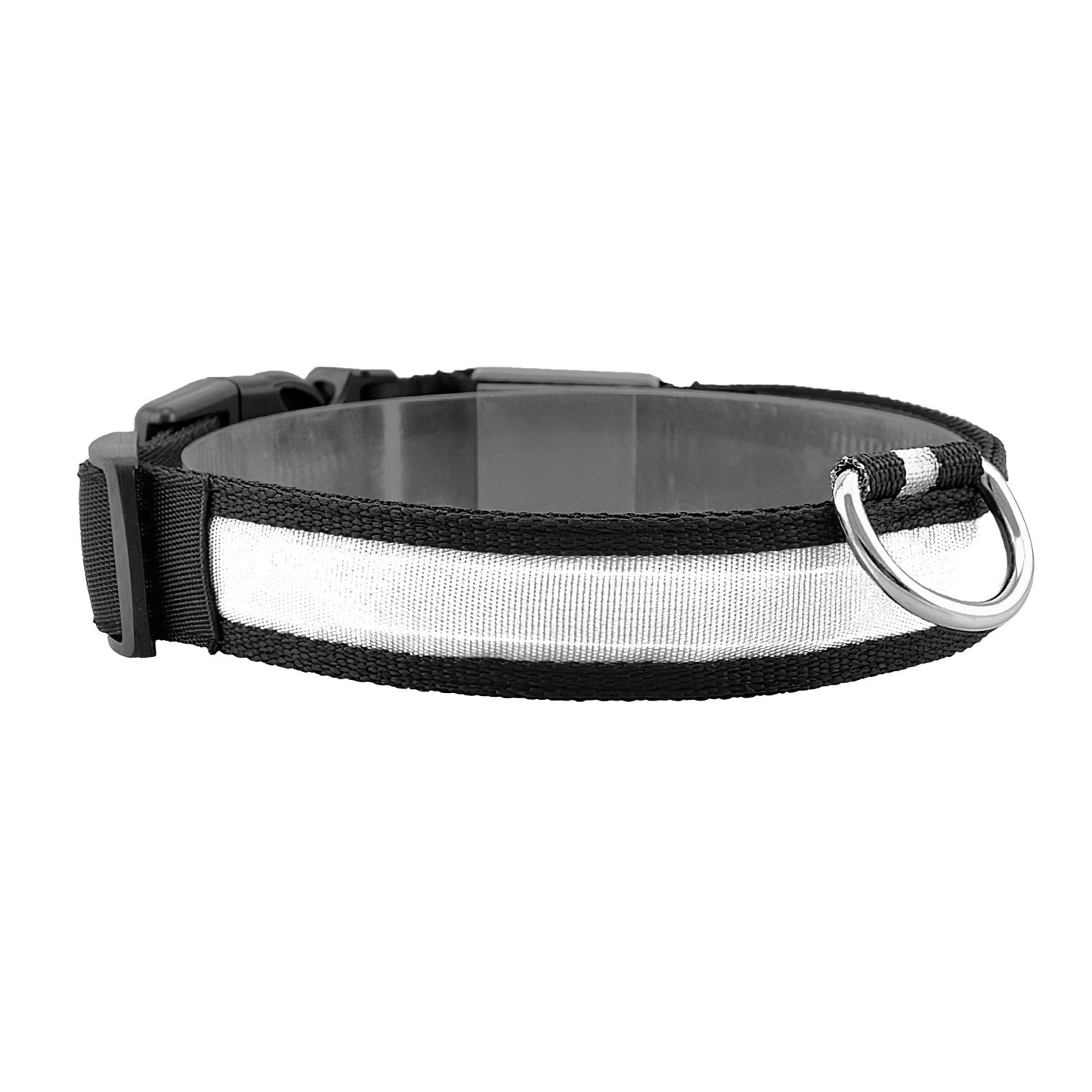 GBruno LED Dog Collar - High Visibility Safety