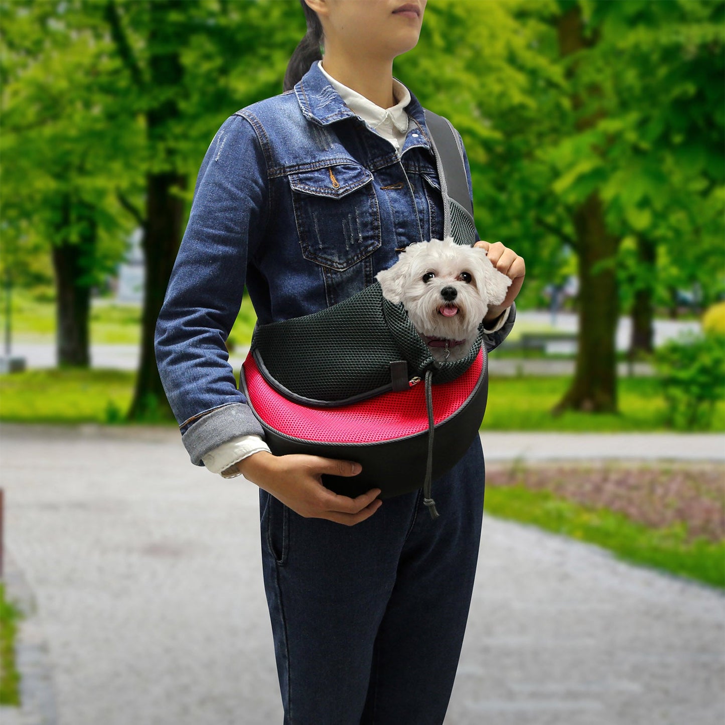 GBruno Transporteur Premium pour Animaux de Compagnie pour Chiens et Chats