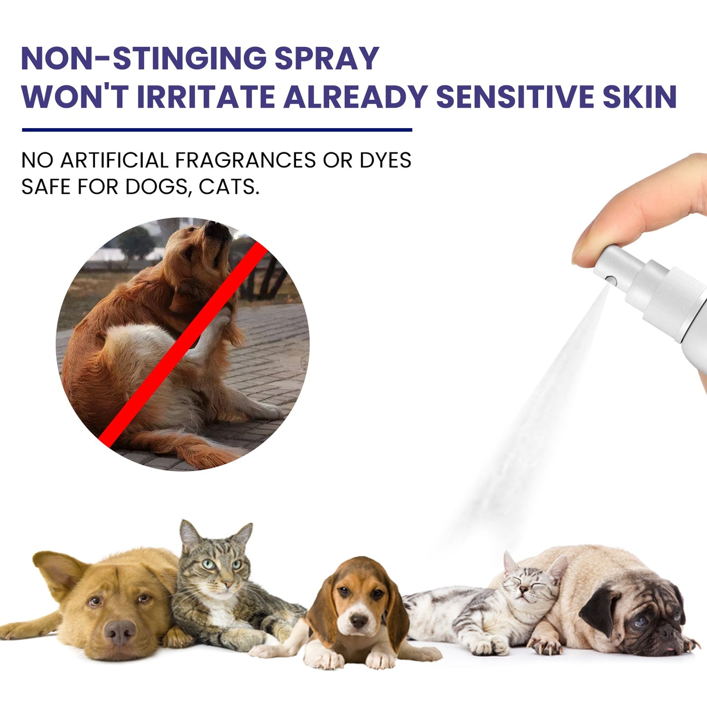 Pet Anti-Itch Spray, Pet Universal Cleaning And Soothing Skin Fur For Anti-Mite Anti-Bug Anti-Itch Spray - Korvel