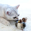 Dazzling Law Prey Series Cat Sound Toys