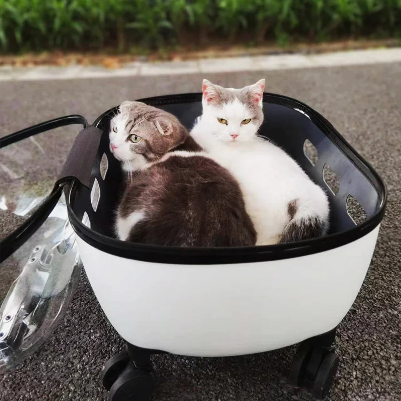 Transporteur de voyage en capsule transparente pour animaux de compagnie