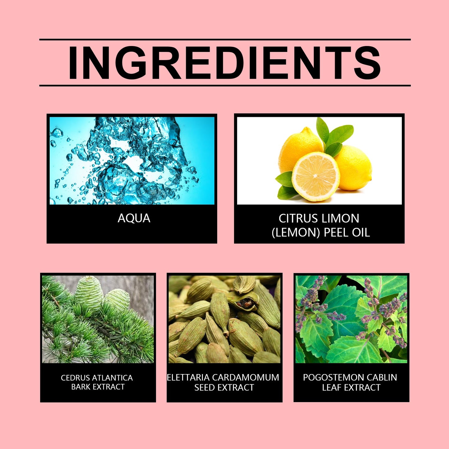 Rich Cardamom Lemon Eau de Parfum