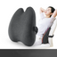 Lab Extra Dense Lumbar Pillow - Ergonomic Back Support Cushion
