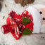 Cartoon Long Leg Elderly Wine Set Creative Christmas Decorations Decoration Home Table Wine Bottle Set - Korvel