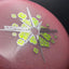 Founders Glow Penny - Connor O'Reilly Tour Series Disc