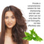 Shampoo And Conditioner Set - Korvel
