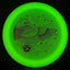 Quantum Lunar Falcon Disc - Rare Stardust DM Stamp