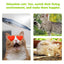 Catnip Spray, Relieve Cat Anxiety And Enhance Pet Vitality Health Care Spray - Korvel
