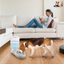GBruno 3.5L Pet Water Dispenser