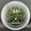 CryZtal Buzzz - Karudi the Overseer (Cult of RAD) - Exclusive Edition - Korvel