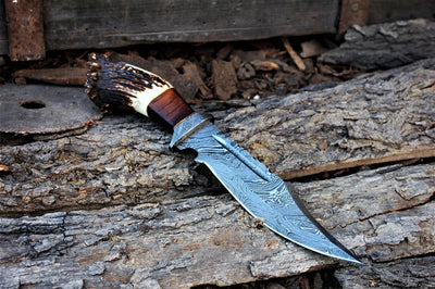 Exclusive 13" Damascus Bowie Knife – Stag Crown & Rosewood Handle with Premium Leather Sheath - Korvel