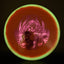 VIP Moonshine Orbit Seer Disc Golf Driver