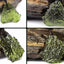 Collier Pendentif en Météorite Tchèque Naturelle