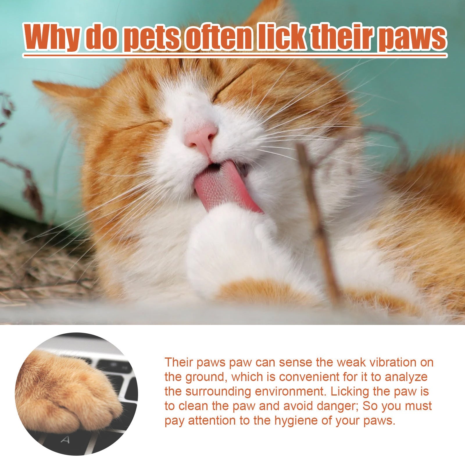 Pet Foot Care Cream For Animals, Cats, Dogs And Paws Foot Care Cream For Soles And Pads - Korvel