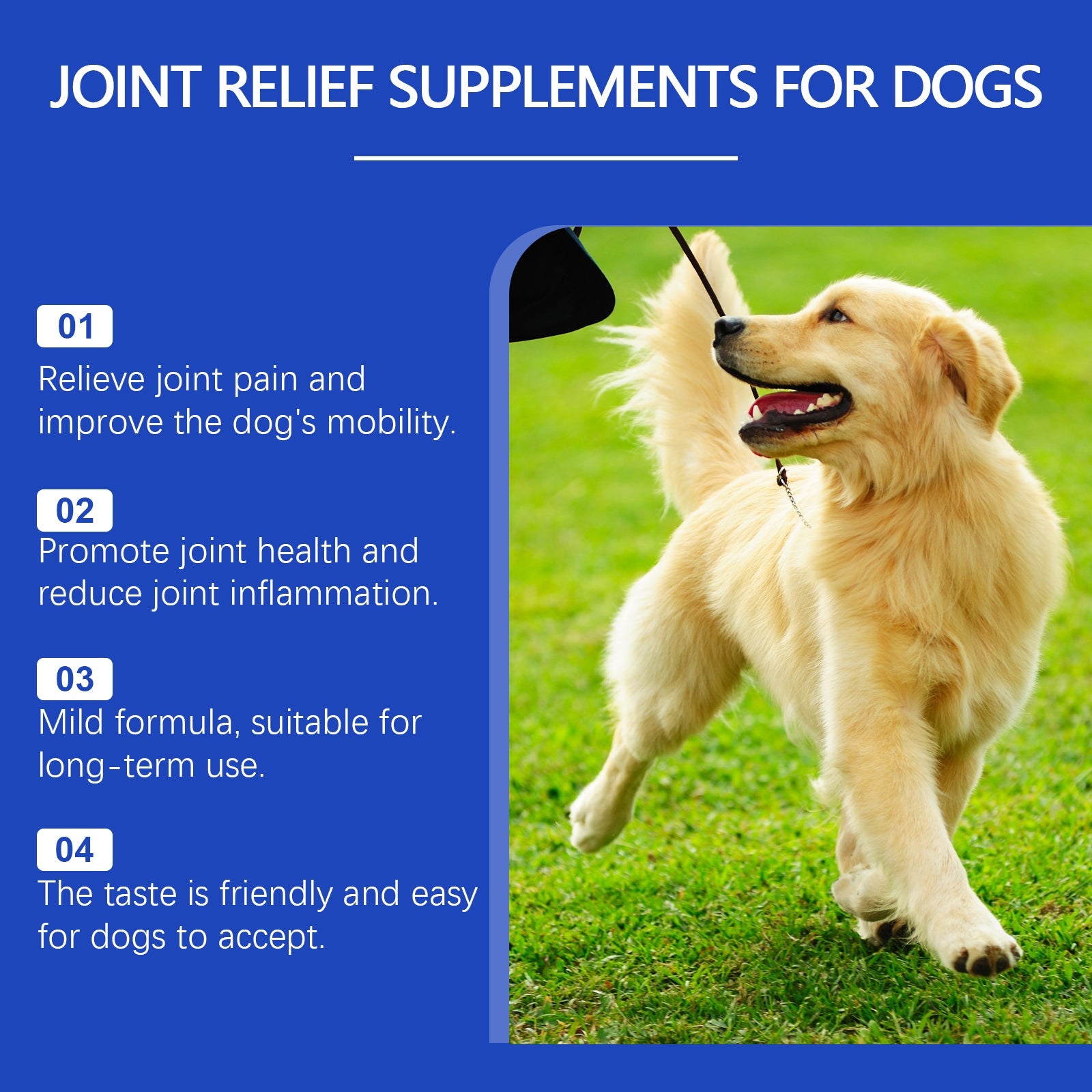 Pet Dog Joint Supplement To Enhance Nutrition Care Joint Health Pet Joint Care Agent - Korvel