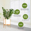 Premium Wooden Garden Trellis for Climbing Plants