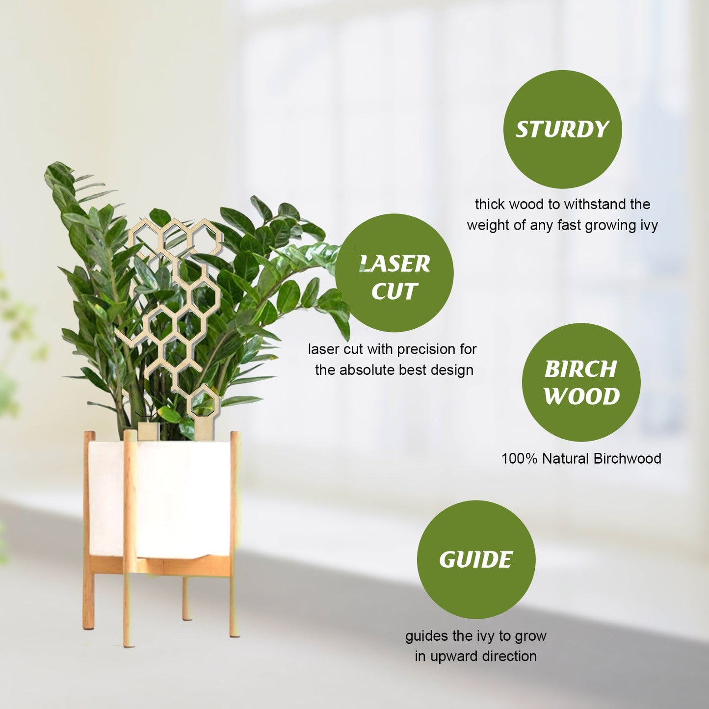 Premium Wooden Garden Trellis for Climbing Plants