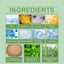 Rosemary Scalp Scrub, A Gentle, Cleansing, Moisturizing, Refreshing And Soothing Scalp Scrub - Korvel