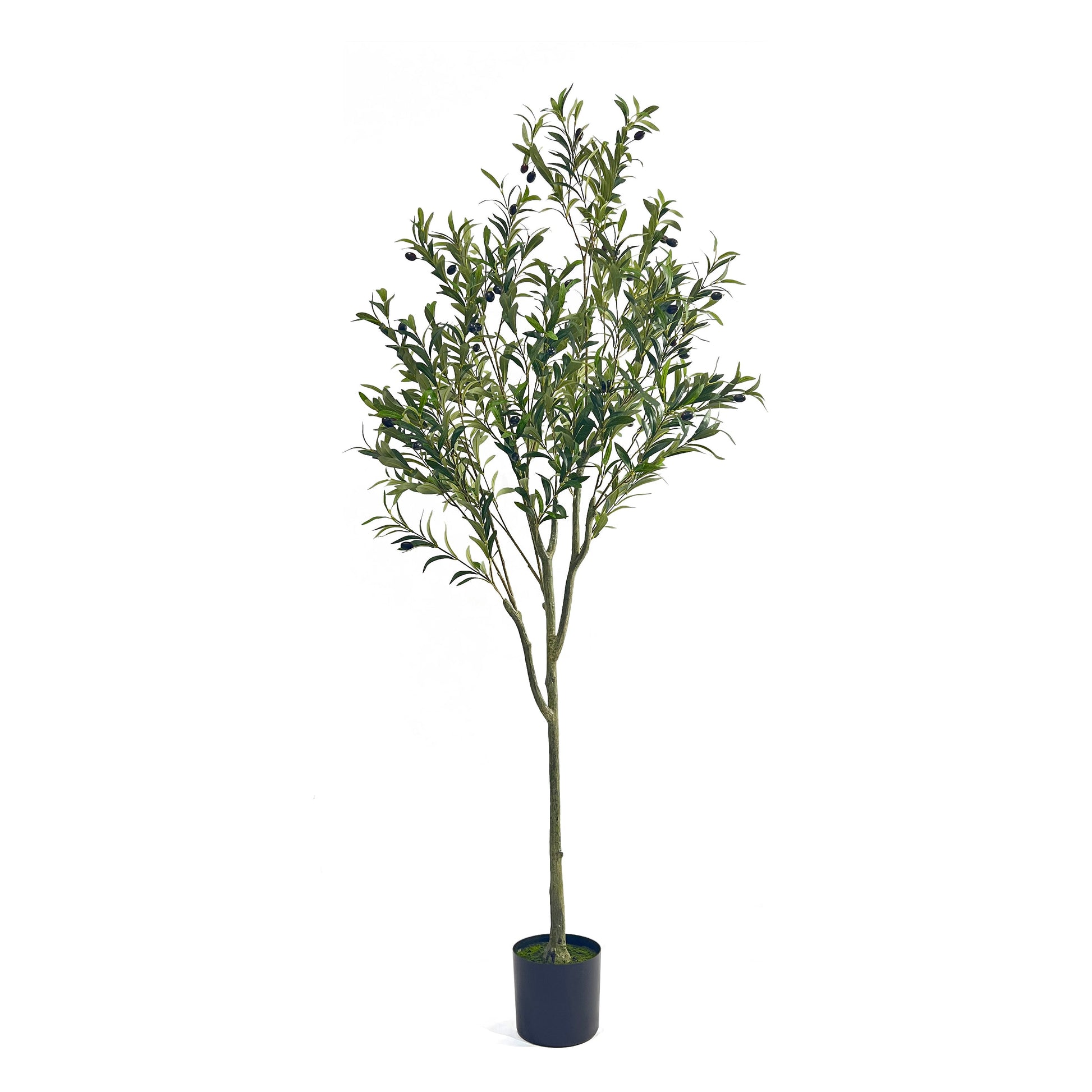 180CM ARTIFICIAL OLIVE TREE - Korvel