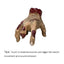 Walking Scary Hand - Korvel