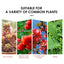 Sustained-Release Plant Nutrition Tablets for Optimal Growth