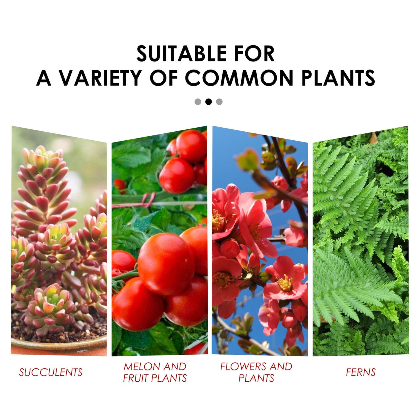 Sustained-Release Plant Nutrition Tablets for Optimal Growth