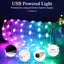 Luces de Navidad con Control Remoto DIY