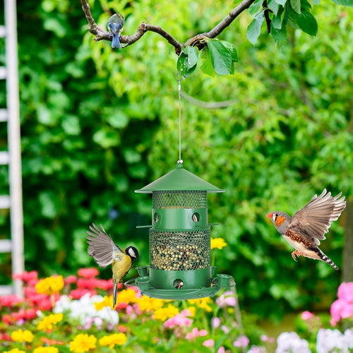 Mangeoire à oiseaux en métal anti-écureuil avec perches à 360°