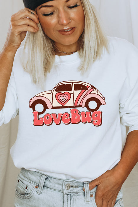 Love Bug Cozy Sweatshirt