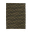 Presidential Seal Parody Velveteen Blanket