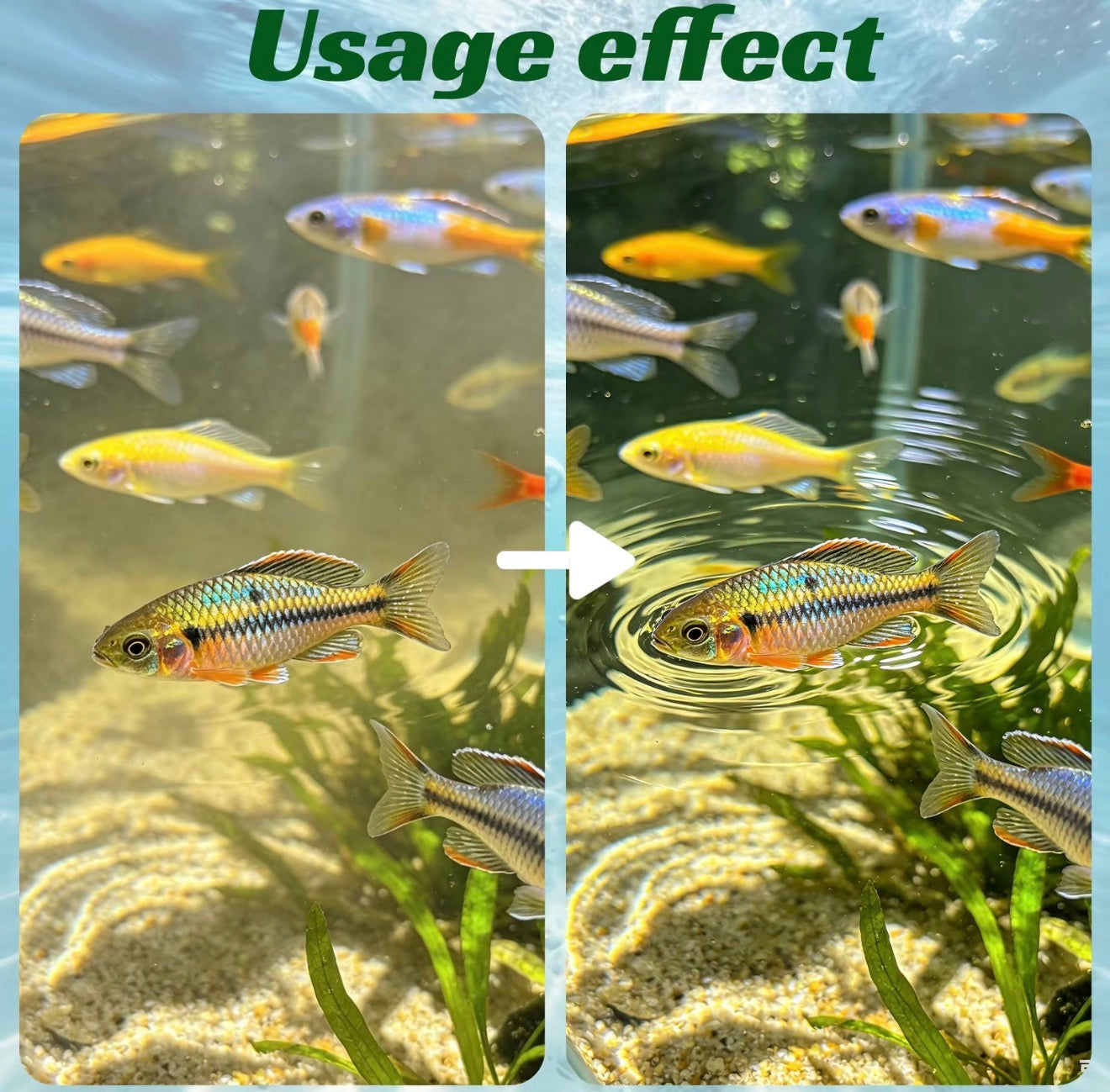Tabletas de Purificación AquaClear para Entornos Acuáticos Más Claros