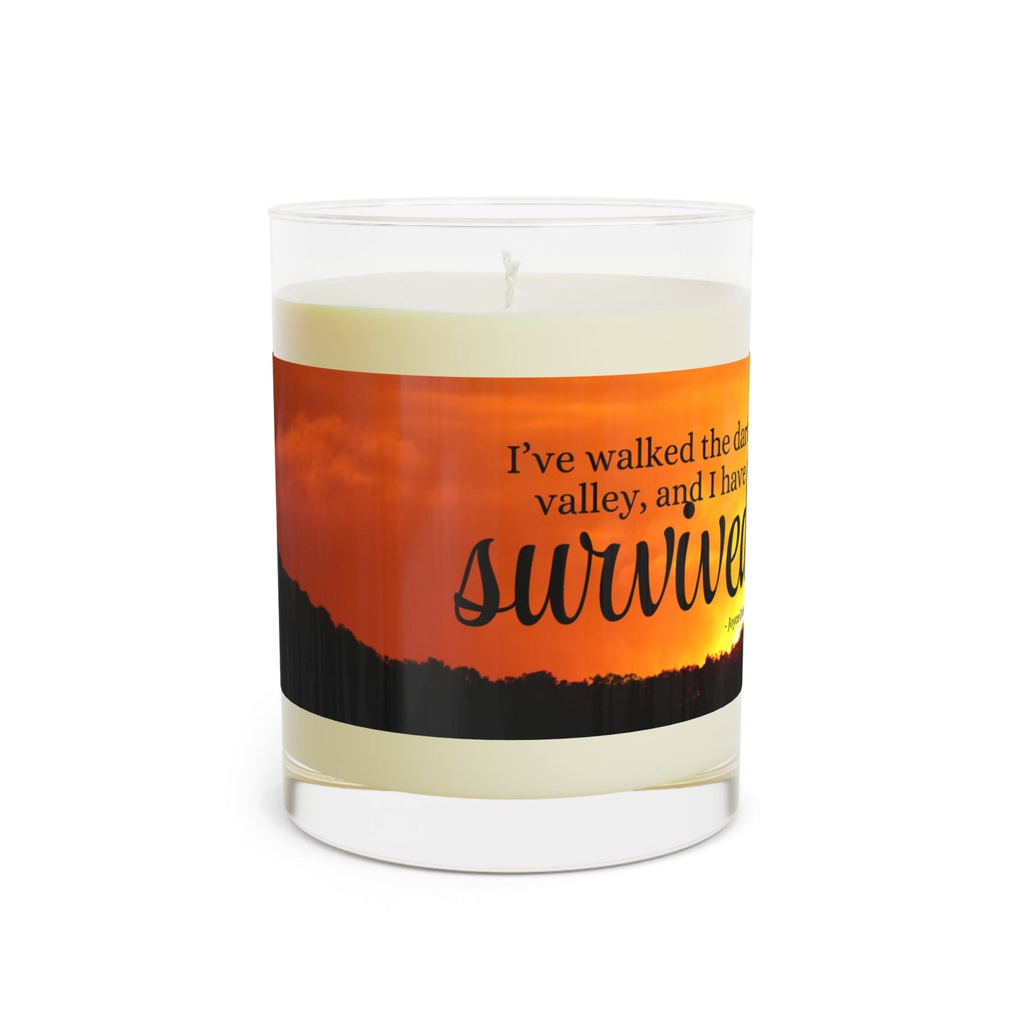 Cat Lady Strong Scented Candle - 11oz Full Glass