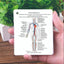 Tarjetas Didácticas AnatoLearn - Set de Estudio de Anatomía Humana de 21 Piezas