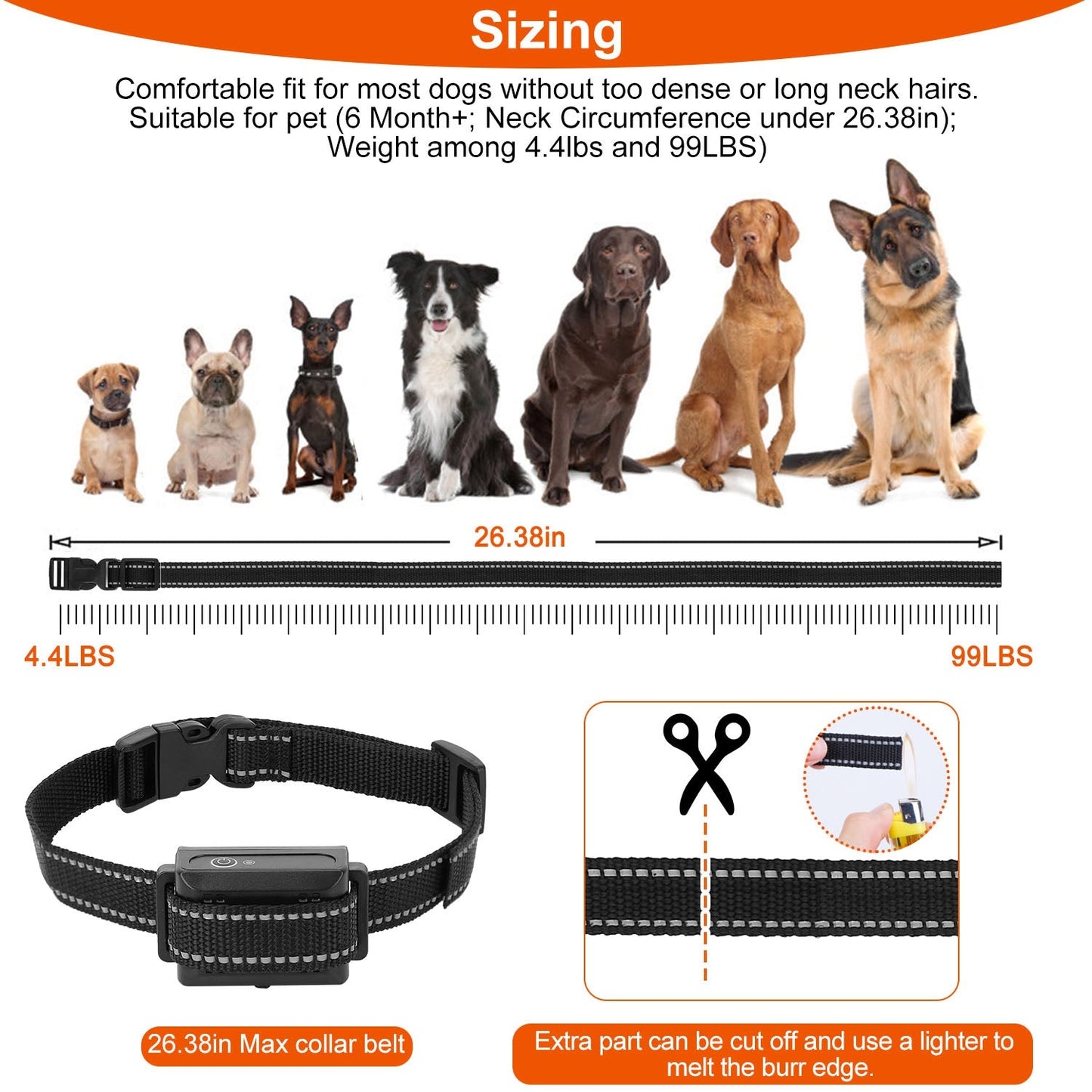 Collar de Entrenamiento para Perros Impermeable GBruno