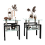 Set of 2, Modern Tempered Glass Tea Table Coffee Table End Table, Square Table for Living Room, Transparent/Black - Korvel