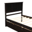 Platform Storage Bed  2 drawers with wheels  Twin Size Frame  Espresso - Korvel