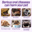Pet Toothbrush For Dogs, Pet Oral Cleaning Dental Stains Dental Health Care - Korvel