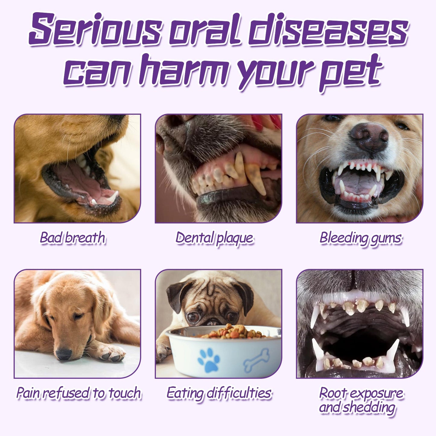 Pet Toothbrush For Dogs, Pet Oral Cleaning Dental Stains Dental Health Care - Korvel