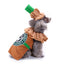 Pet Dog Supplies Creative Halloween Christmas Pet Clothes Weird Dog Clothes - Korvel